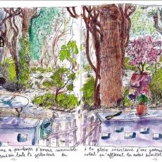 Le carnet d’un voyageur immobile dans un petit jardin