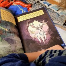 Vivez l’aventure, à la recherche d’Excalibur