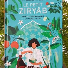 Ziryâb, recettes gourmandes du monde arabe - Actes Sud Junior