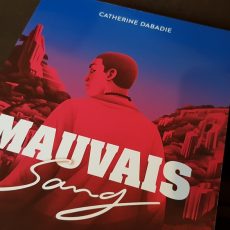 Mauvais sang, roman de Catherine Dabadie - Actes Sud Junior