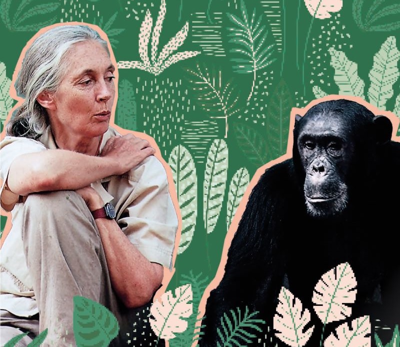 Ma vie avec les chimpanzés - autobiographie de Jane Goodall