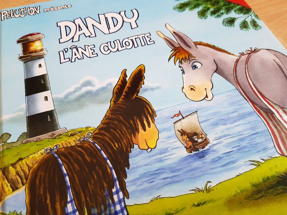 Dandy l'âne culotte - ile de Ré
