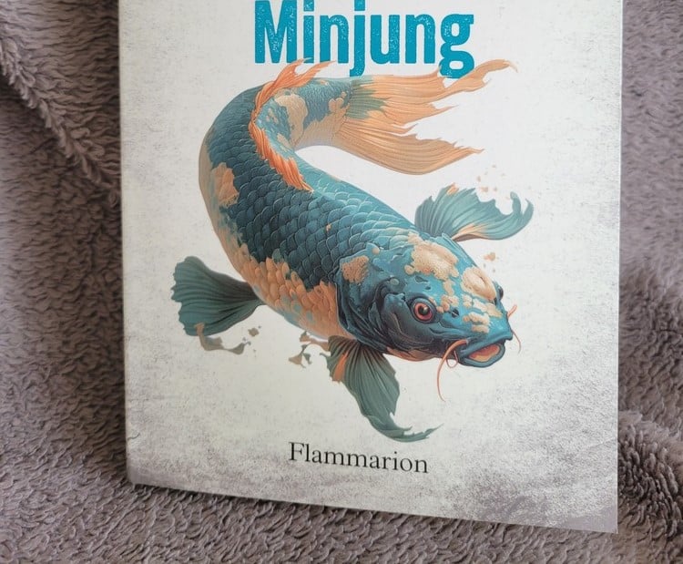 Corée du sud : "Minjung", roman de Ian Manook - Flammarion