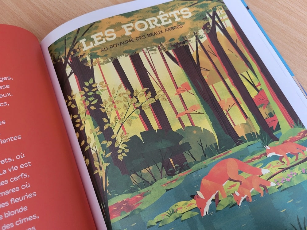 Album documentaire pour enfants : les parcs nationaux en France - Gallimard Jeunesse 2026