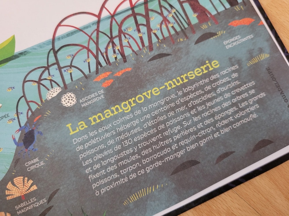 Album documentaire pour enfants : les parcs nationaux en France - Gallimard Jeunesse 2026